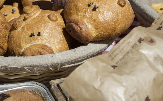 "Painicile lui Stefan"