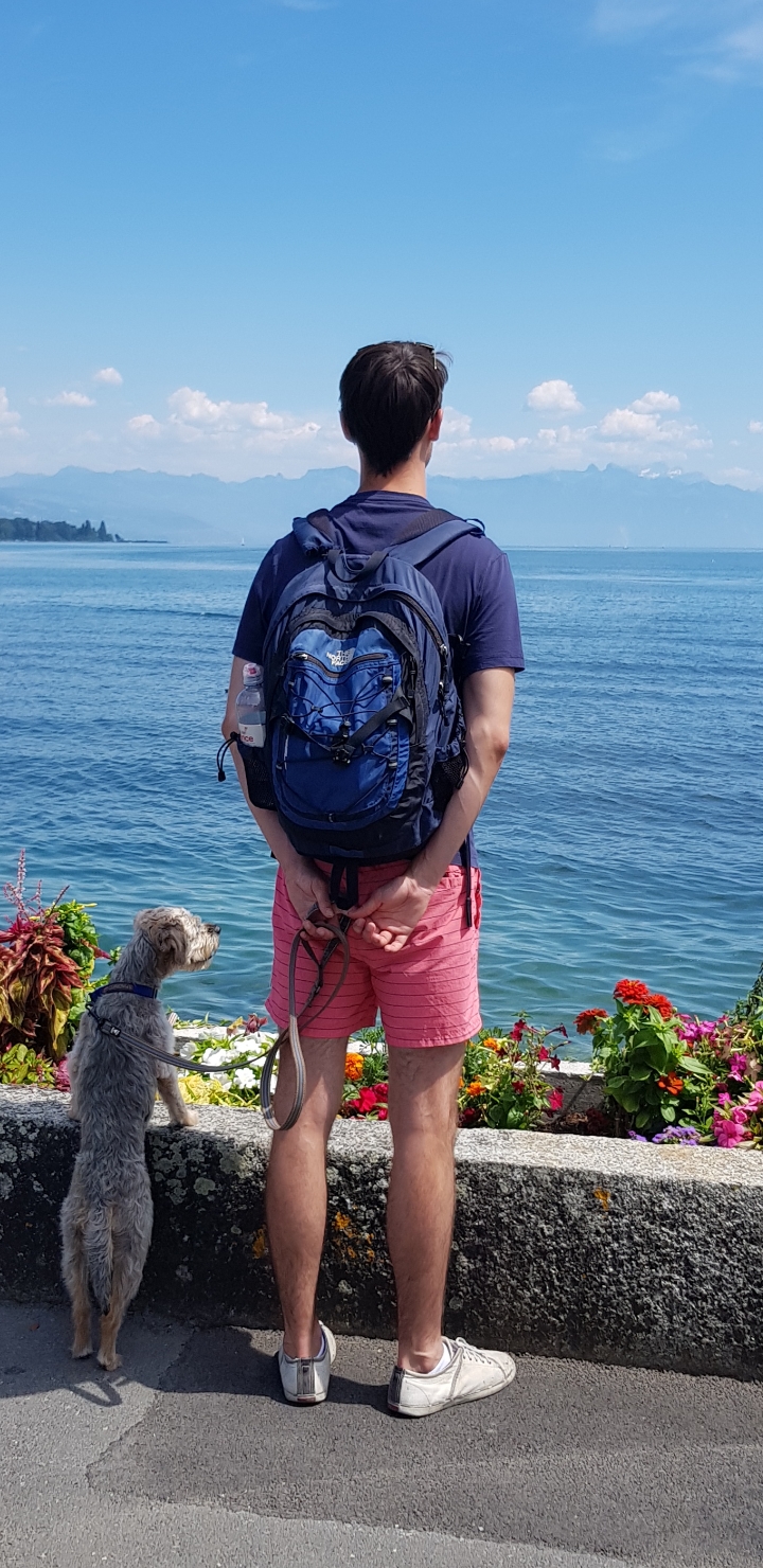 Adora sa admire privelistea impreuna cu stapanul sau