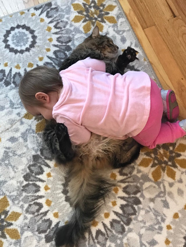 Cea mai toleranta si iubitoare pisica