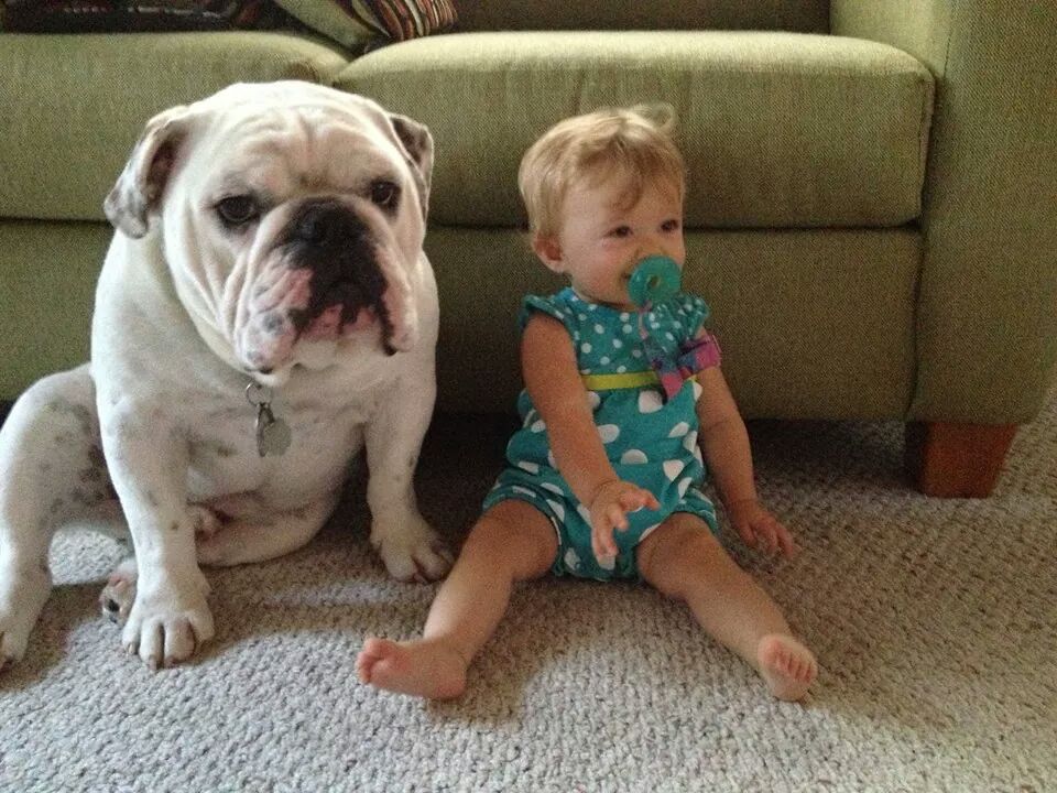 Charlotte si protectorul sau, Hoagie, stand in aceeasi pozitie