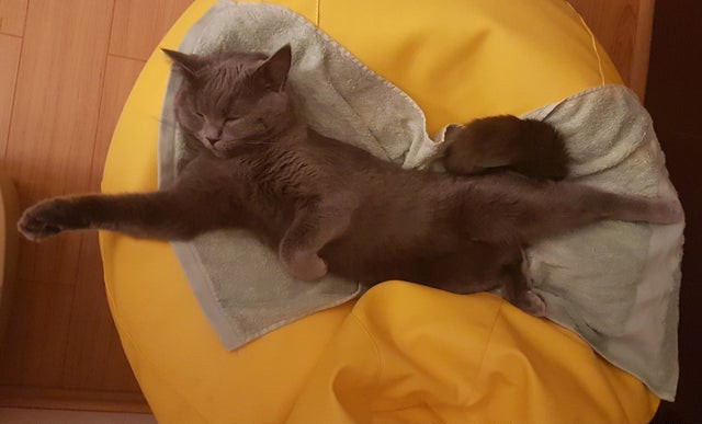 A adormit intr-o pozitie demna de supereroi