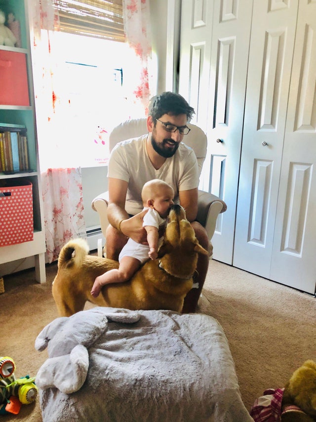 Timp de 4 ani s-au chinuit sa faca un copil. Pana si catelul este foarte fericit