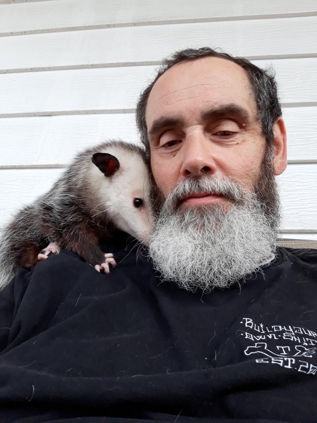 ”Toate animalele iși arată afecțiunea și iubesc să fie iubite”