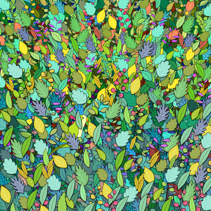 Găsește papagalul ascuns printre frunzele colorate