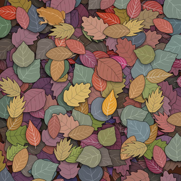 Găsește broscoiul ascuns printre frunze