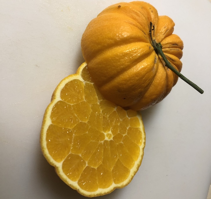 O portocală care arată ca un dovleac