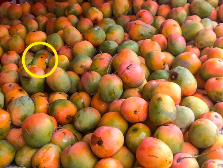 Răspuns