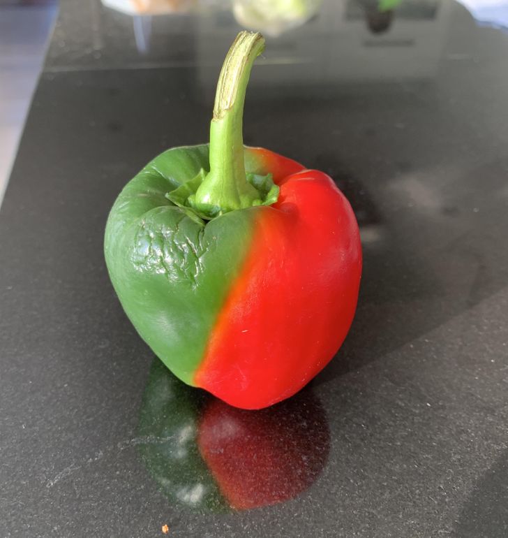 „Un ardei gras pe jumătate verde, pe jumătate roșu”