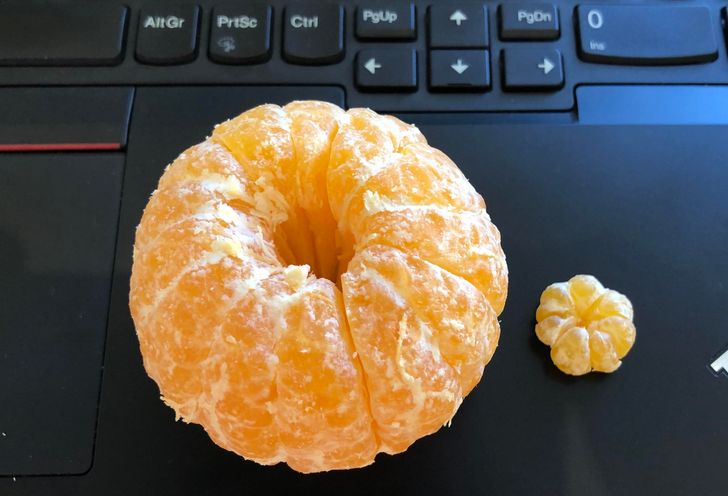 „Mandarina asta avea un pui de mandarină în ea”