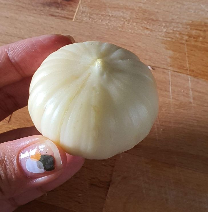 „Usturoiul ăsta e doar un cățel mai mare”