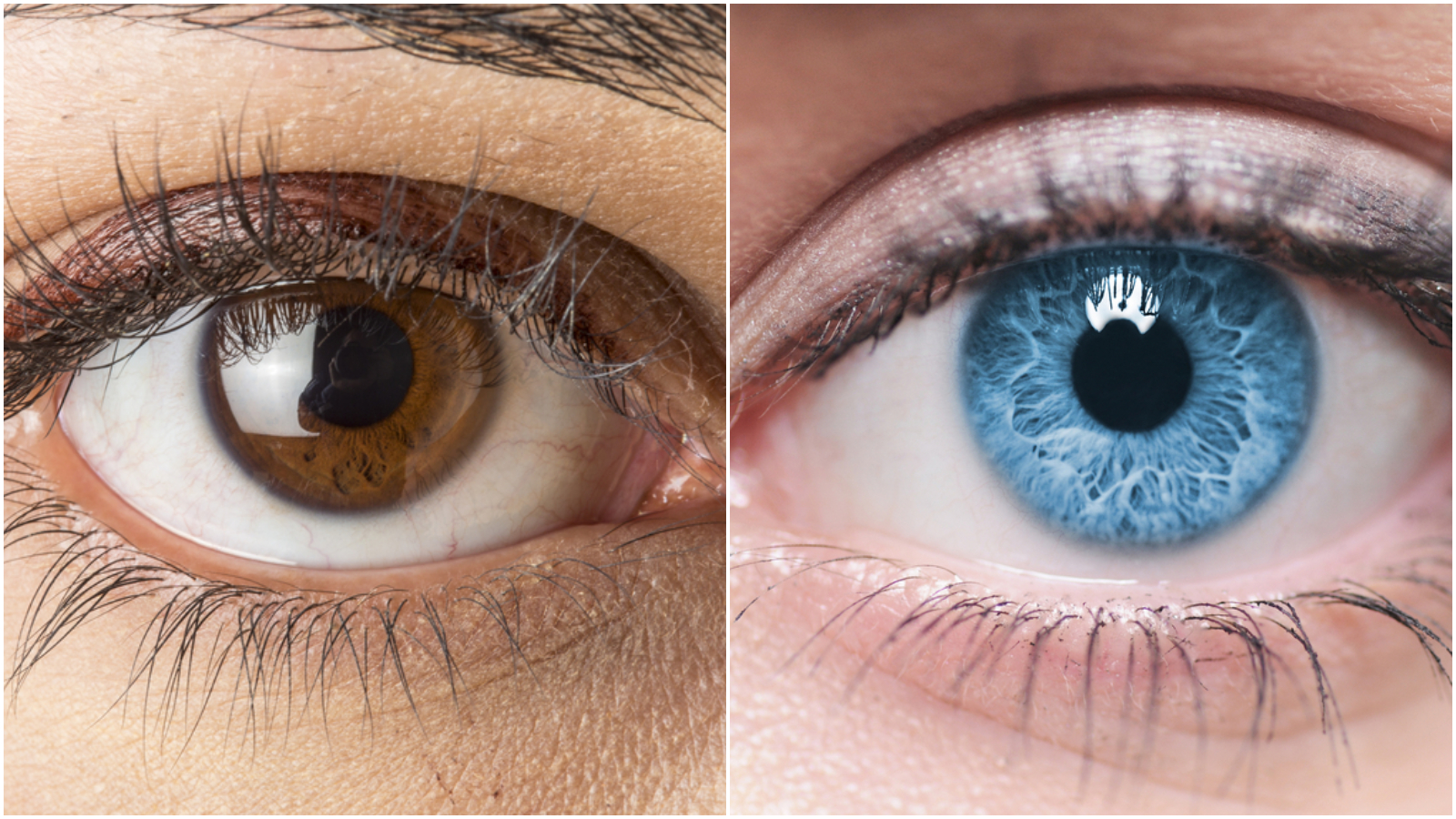 BONUS: Cât de atractivă este fiecare culoare de ochi, potrivit sondajelor