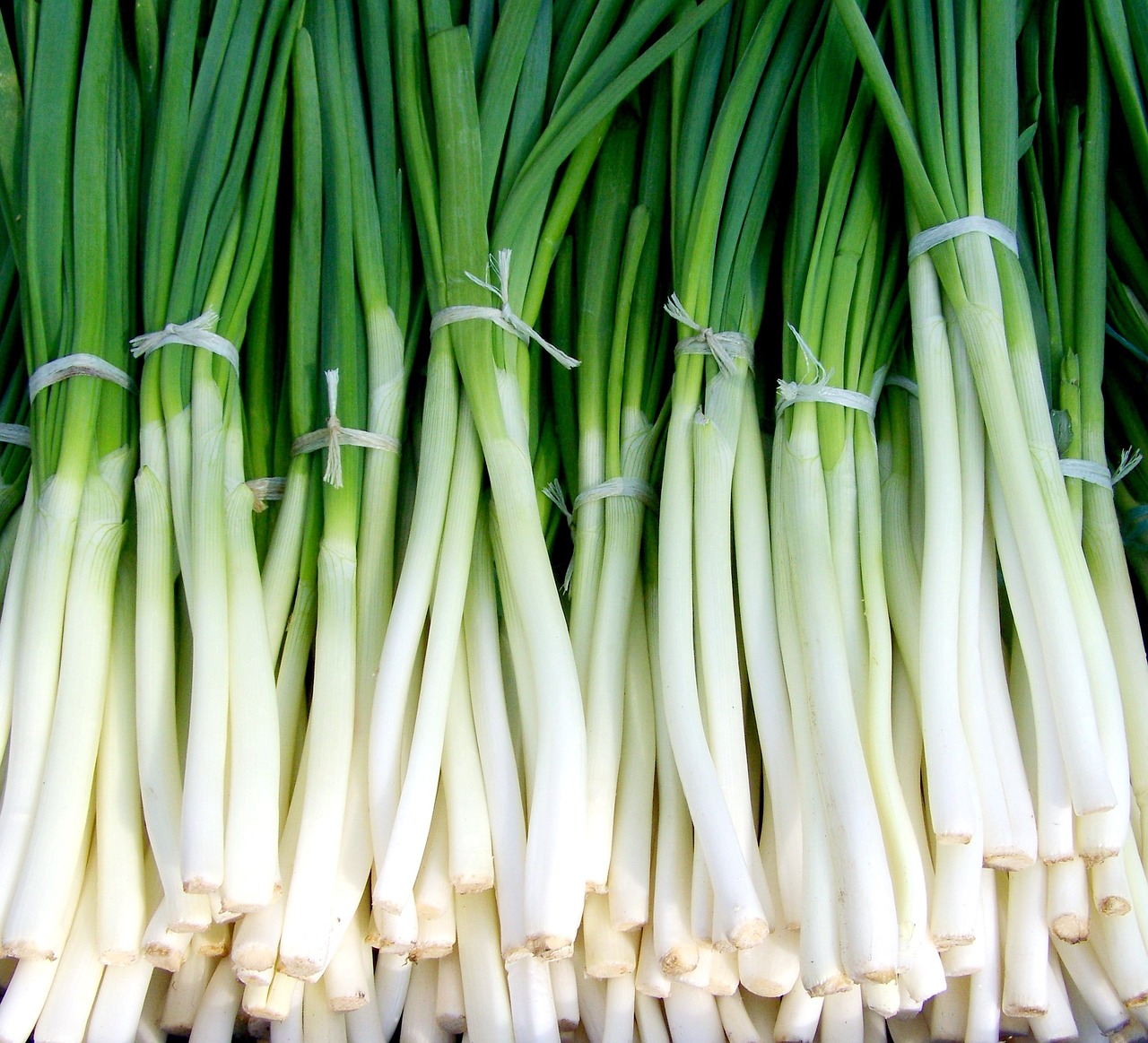 Ceapă verde