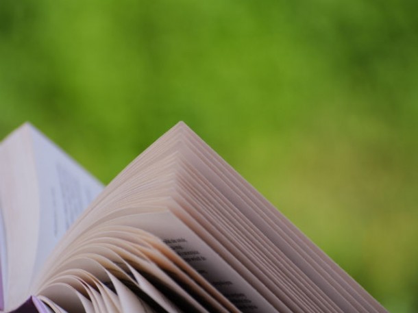 Cel mai mult îți place să citești