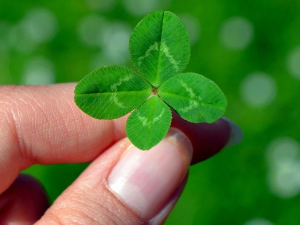 Te consideri o persoana norocoasa?