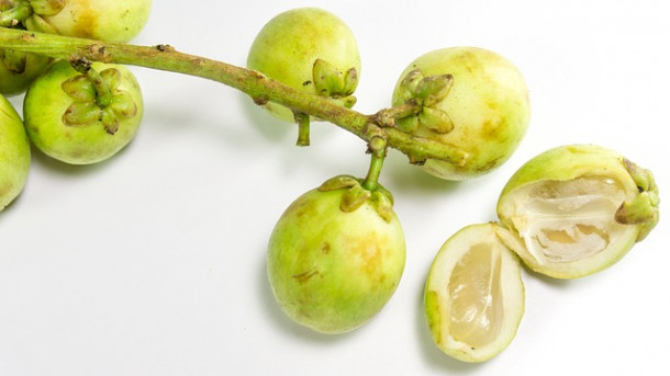 Ce fruct este acesta?