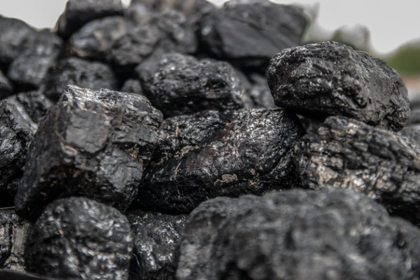 Ce păsări se foloseau în minele de cărbune pentru a detecta monoxidul de carbon?