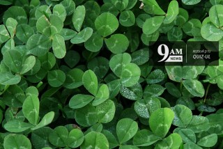 Cat de norocos esti?