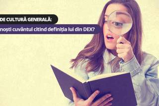 Test de cultură generală: Recunoști cuvântul citind definiția lui din DEX?