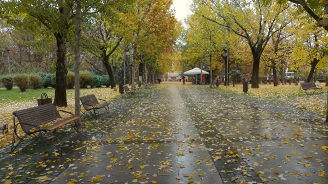 Vremea în București 