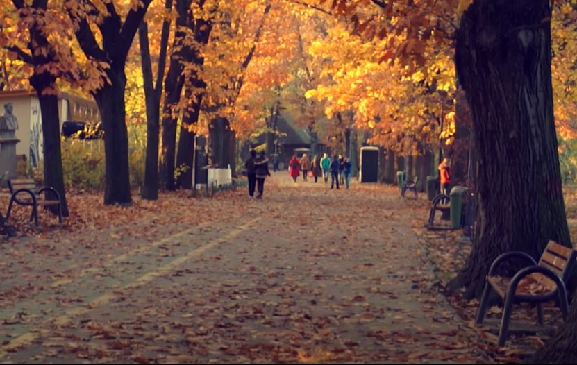 Vremea pentru săptămâna 01.11.2021 - 08.11.2021 