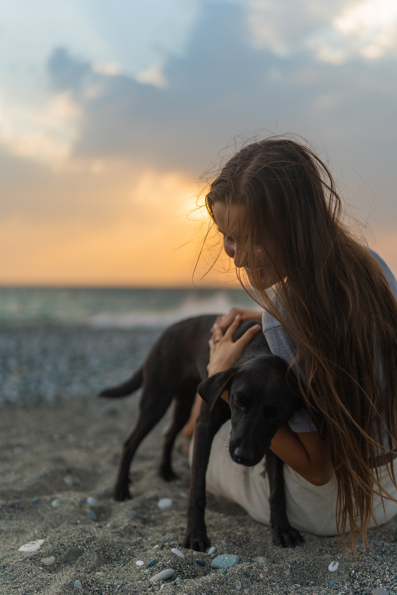 Peștii în viața de zi cu zi