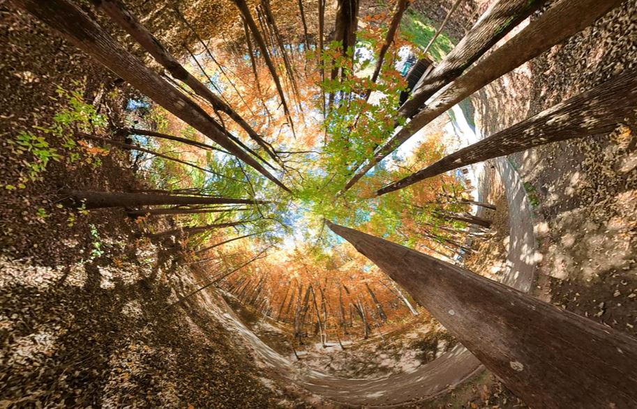 Vremea pentru săptămâna 15.11.2021 - 22.11.2021  