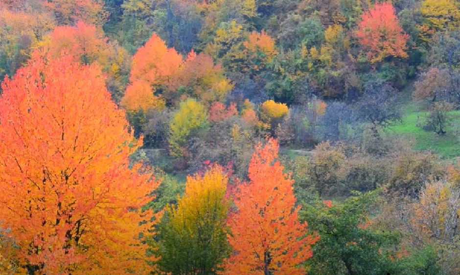 Vremea în București 