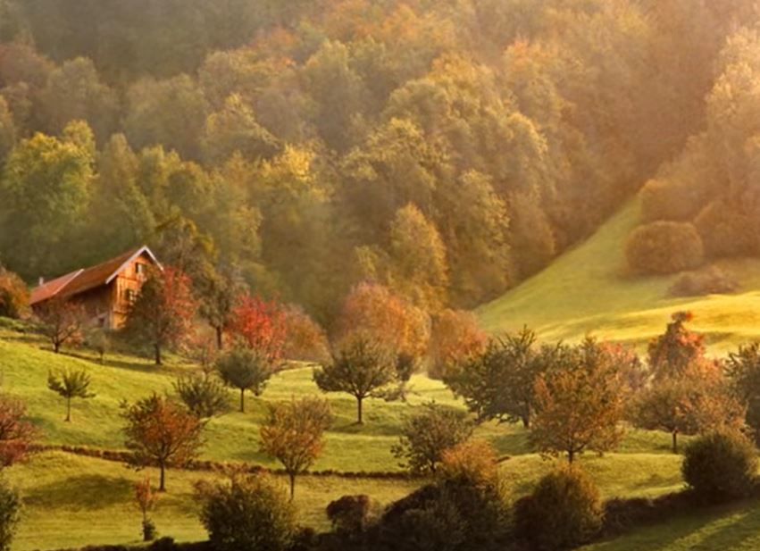 Cum va fi vremea sâmbătă, 13 noiembrie 2021 