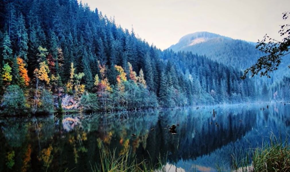 Săptămâna 22.11.2021 - 29.11.2021 