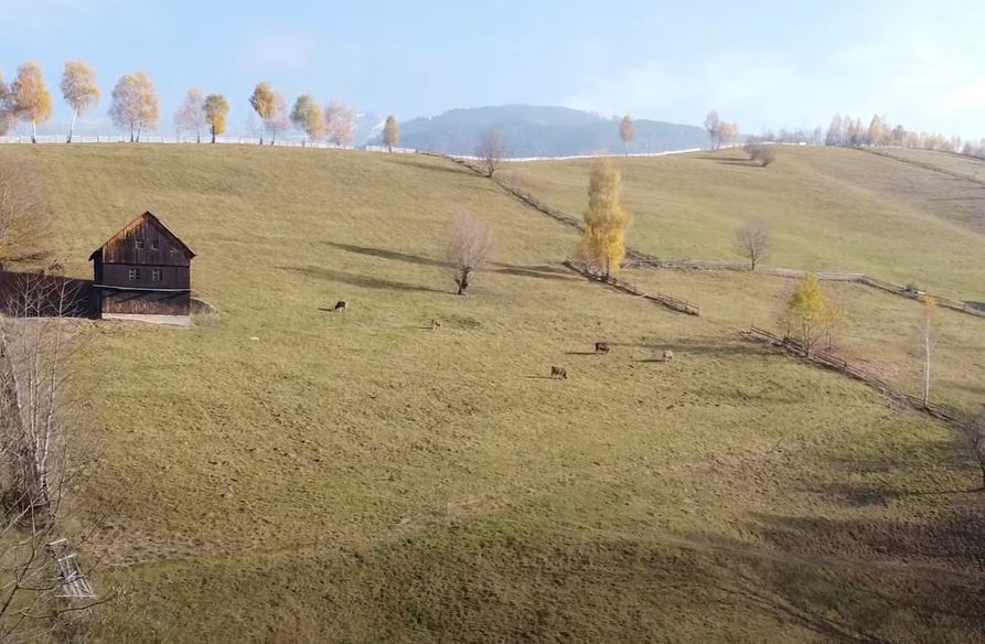 Cum va fi vremea în intervalul 22.11.2021 - 29.11.2021 