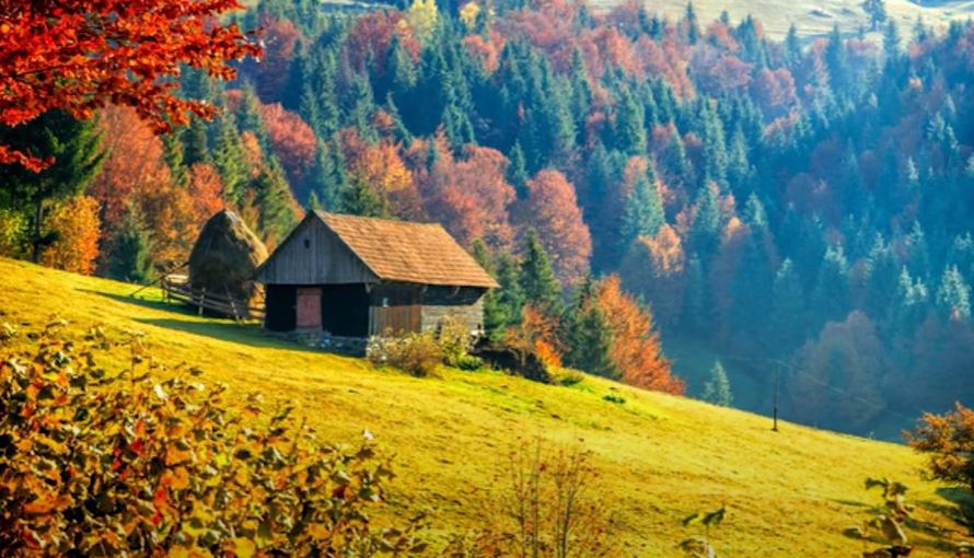 Cum va fi vremea în săptămâna 22.11.2021 - 29.11.2021 