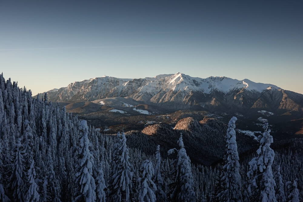 Săptămâna 13.12.2021 – 20.12.2021