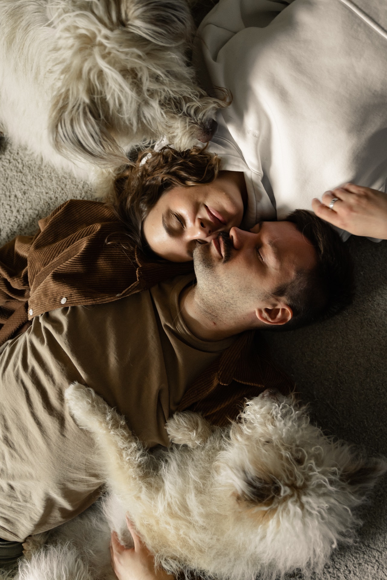 Câinii reduc stresul și anxietatea