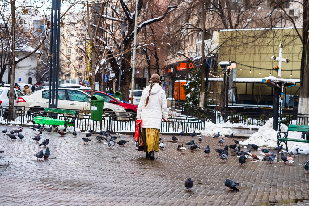 Vremea în București 
