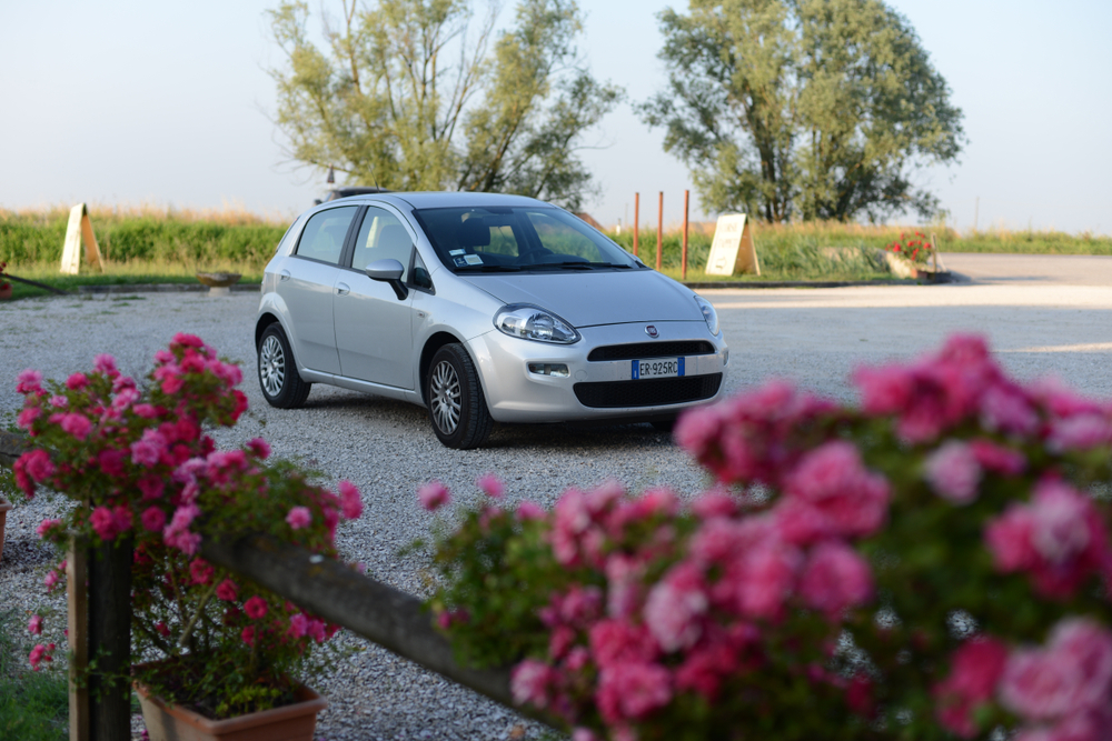 Fiat Punto