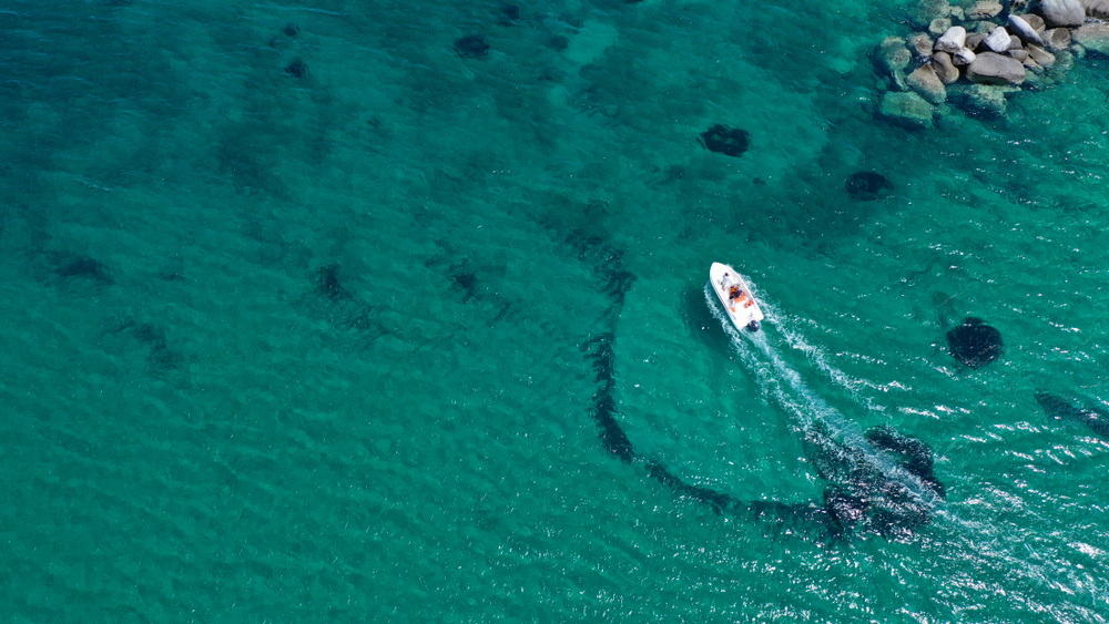 Insulele Mării Egee