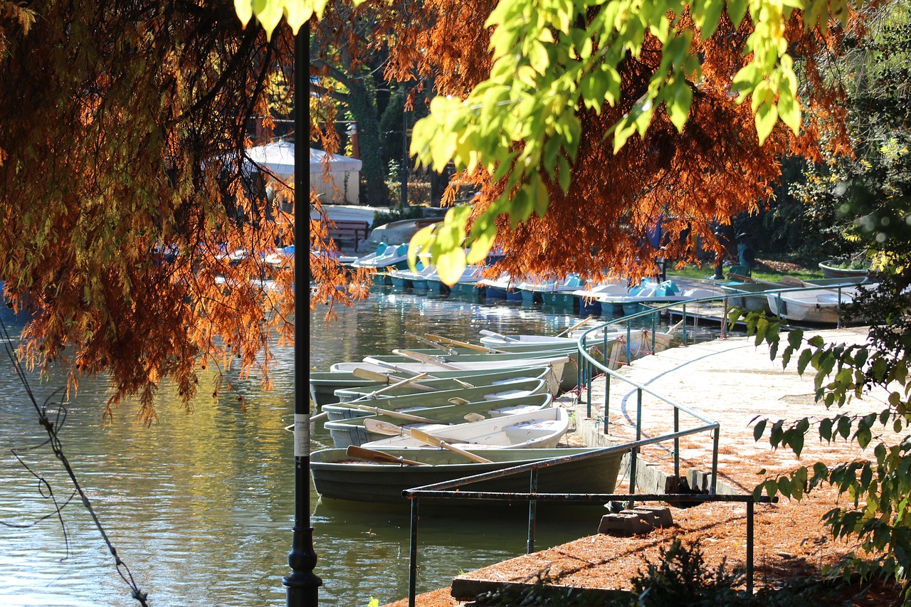 Vremea în București 