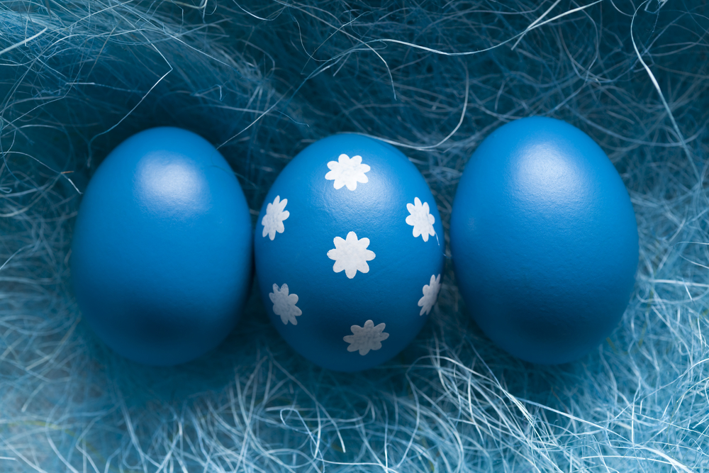 Ouă albastre