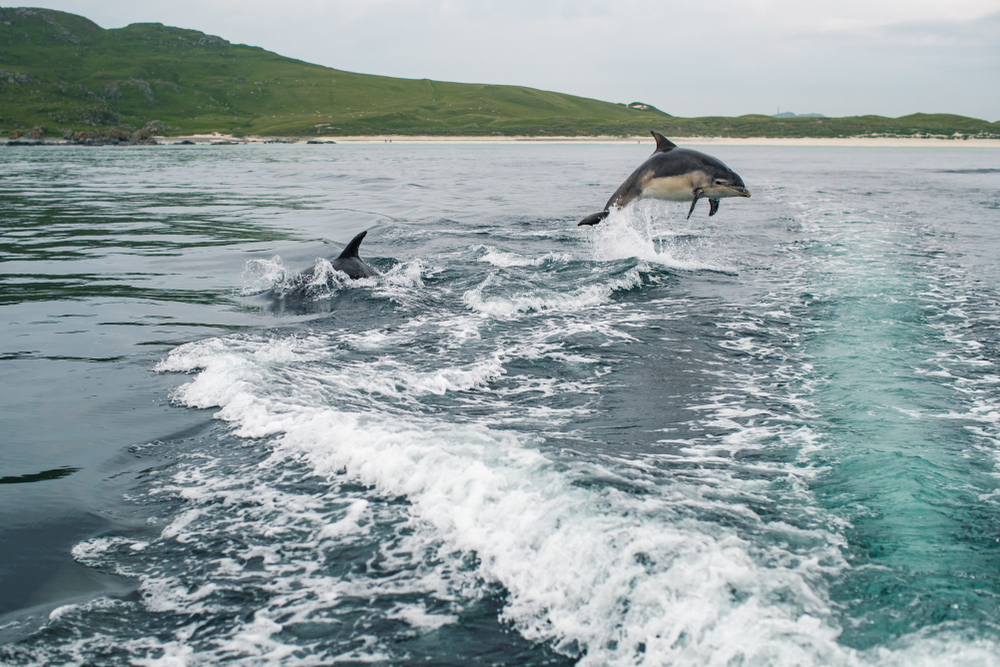 Balemartine – Insula Tiree, Scoția
